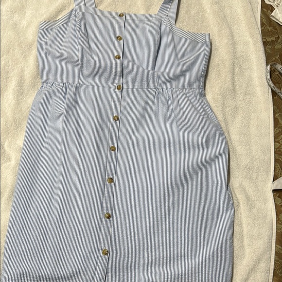 J. Crew Blue and White Buttoned Sundress - Picture 2 of 8